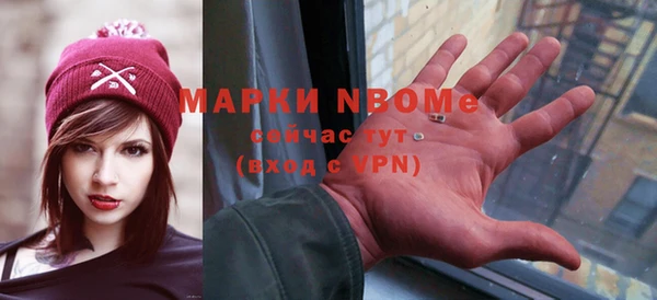 хмурый Алексин