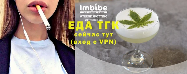 хмурый Алексин