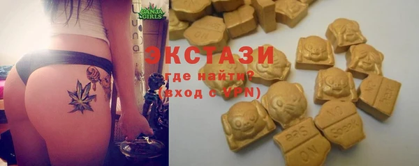 хмурый Алексин