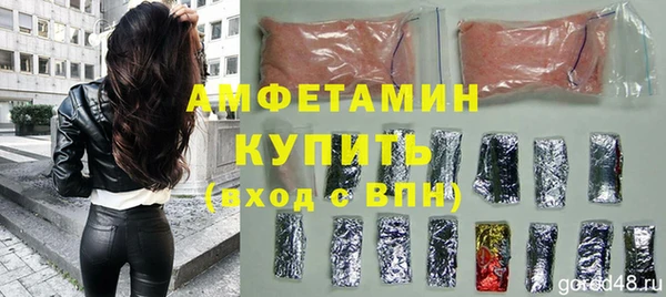 хмурый Алексин