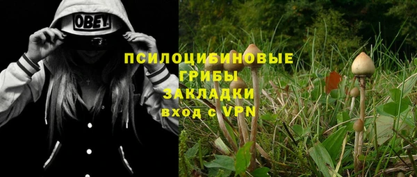 apvp Алексеевка