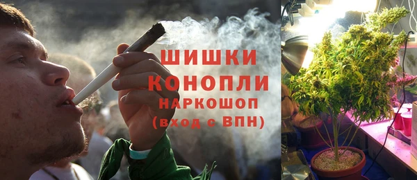 спайс Алзамай