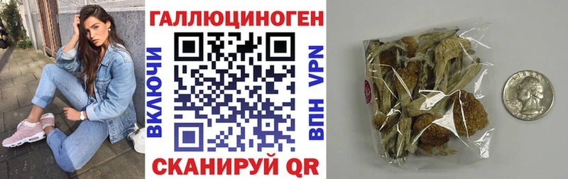 Галлюциногенные грибы Psilocybine cubensis  Николаевск 